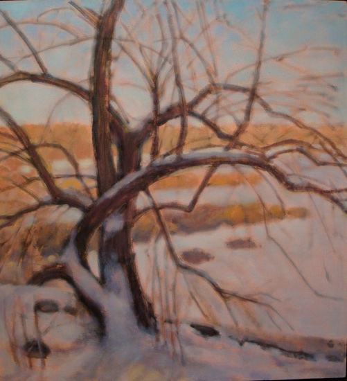 Daisy Craddock - Apple Tree in Snow