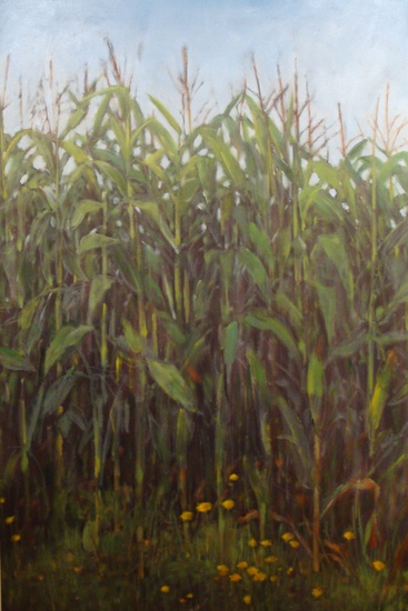Daisy Craddock - Field of Corn