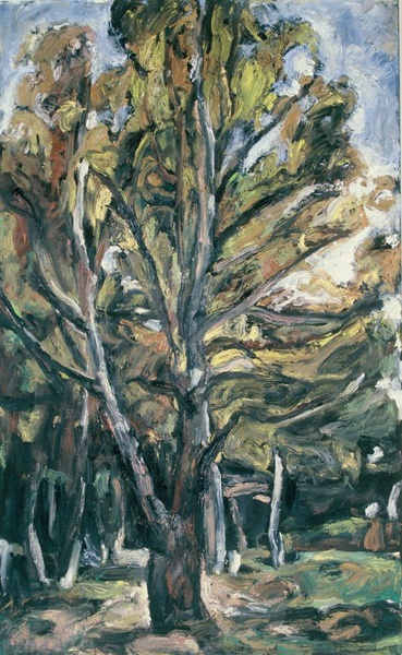 Daisy Craddock - Stand of Birches