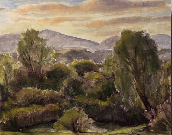 Daisy Craddock - Late Afternoon Longview