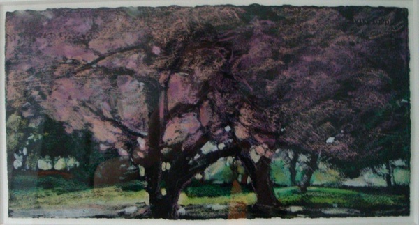 Daisy Craddock - Study for Cherry trees