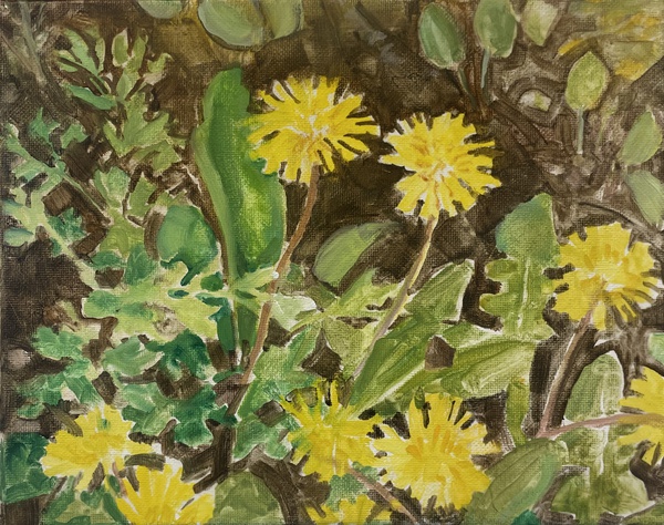 Daisy Craddock - Dandelions on the Berm
