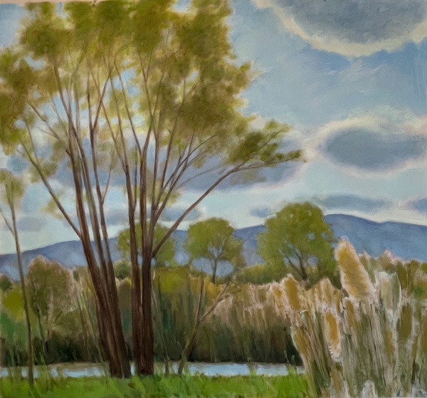 Daisy Craddock - Dianne's Pond