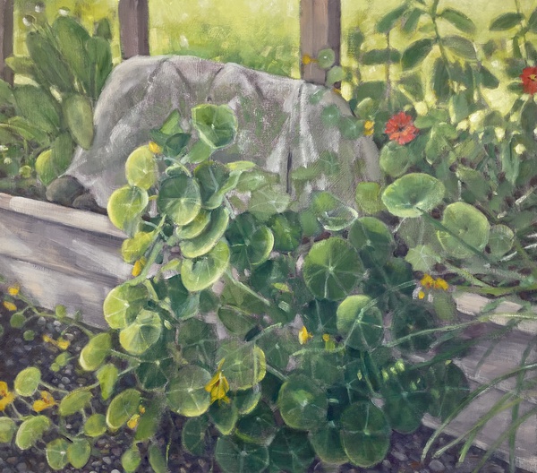 Daisy Craddock - Garden Joy (nasturtiums)